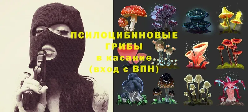 Галлюциногенные грибы Magic Shrooms  где продают наркотики  Иркутск 